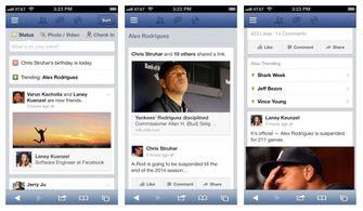 热门话题大脸,揭秘网红新宠的崛起与魅力