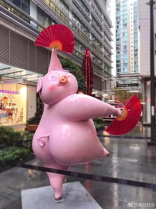 年猪热门话题,传统习俗与现代生活的交融