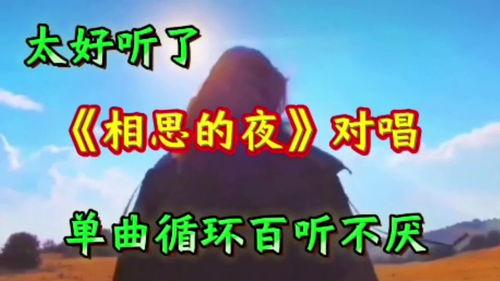 热门歌曲热门话题,热门歌曲背后的热门话题解析