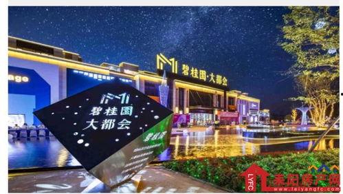 耒阳热门话题,聚焦本土热点，解码城市脉搏