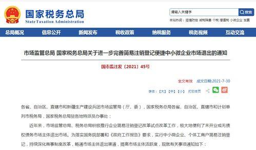 热门话题税务,聚焦热门话题，解析政策动态与影响