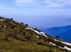 泸定热门话题,红色记忆与时代新篇的交融之地