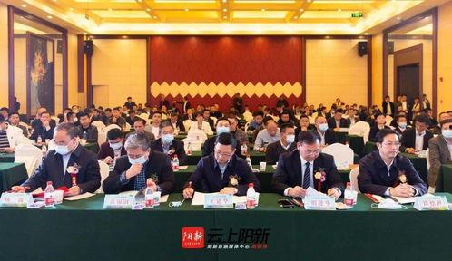 阳新热门话题,聚焦本地热点，解码民生关切