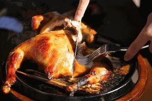 烤鸡热门话题,探寻美食界的明星之选