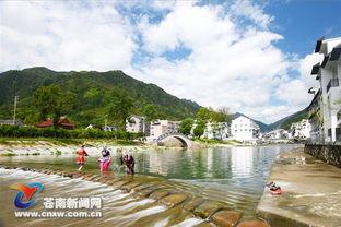 苍南热门话题,聚焦本土热点，解码发展脉搏