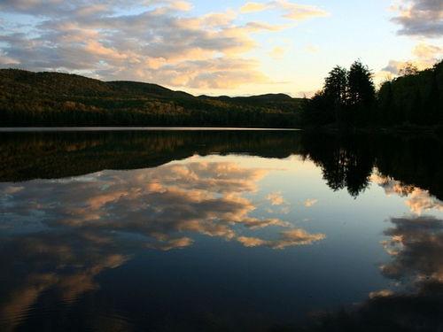 拍景热门话题,解锁摄影新境界