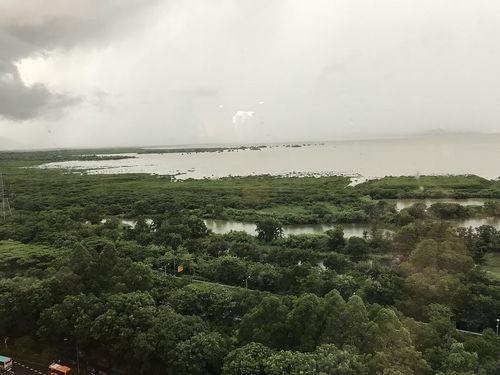 海湾热门话题,聚焦热点话题，解码区域动态