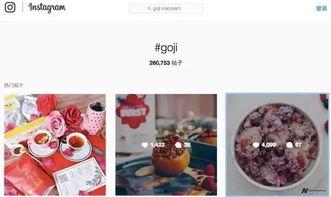 枸杞热门话题,养生佳品，健康生活新风尚