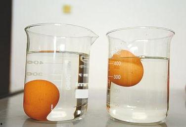 热门话题鸡蛋,营养与美味的双重盛宴