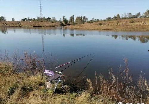 热门话题垂钓,垂钓生活新风尚