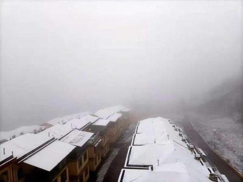 遵义热门话题,探寻革命圣地，重温历史篇章