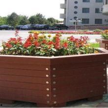 花盆热门话题,揭秘园艺新风尚与家居美学融合