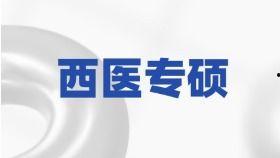 热门话题稻穗,探寻我国农业发展的辉煌成就