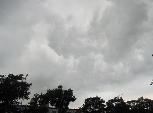 雨景热门话题,探寻雨景中的诗意时光