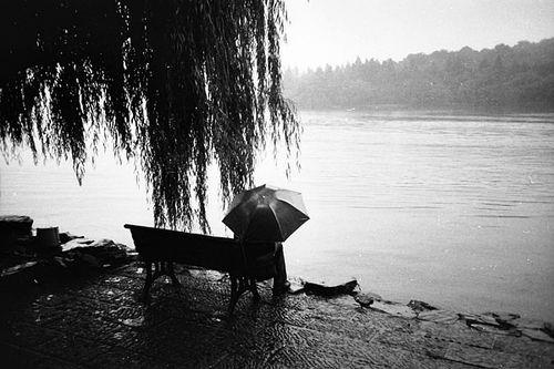 雨景热门话题,探寻雨景中的诗意时光