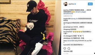 霸气热门话题,热门话题引爆全网热议