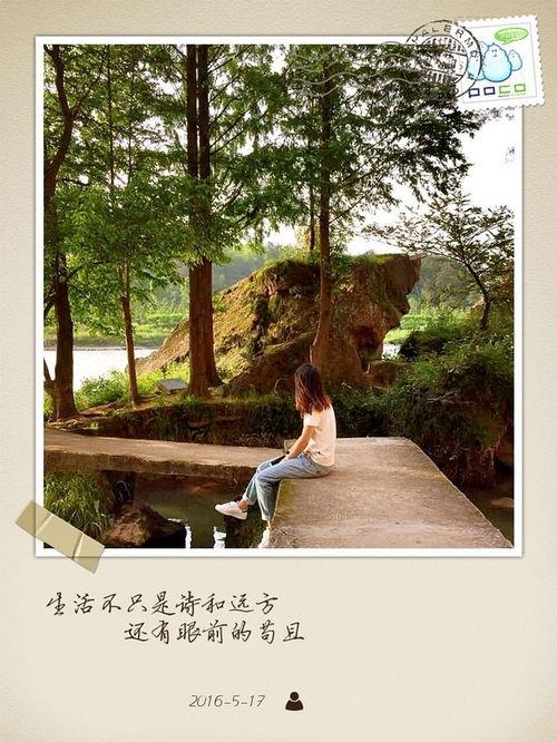 怀念热门话题,怀念那些热门话题中的经典瞬间