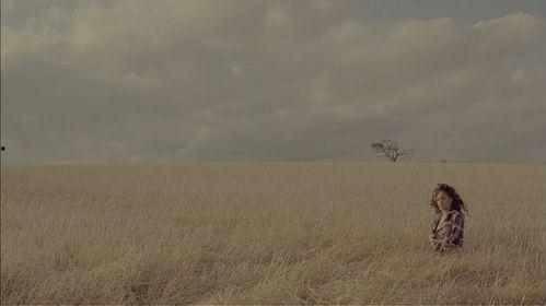 热门话题放牧,探索热门话题下的放牧新篇章