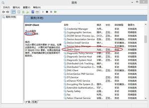 接访热门话题,揭秘接访热门话题背后的社会现象