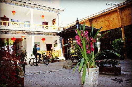 热门话题小院,探寻热门话题中的温馨家园