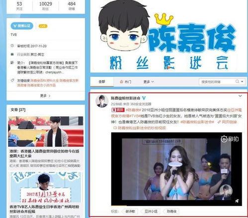 长热门话题,揭秘社会热点背后的真相与影响